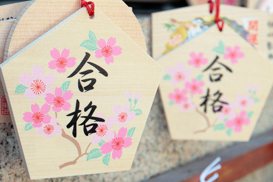 ２０２６年度　大学・高校・中学入試結果　～神戸大学　医学部医学科合格！他多数～